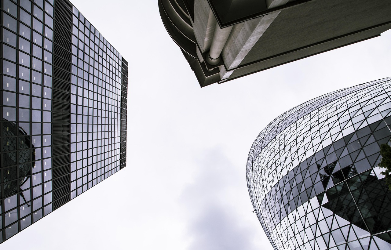 The Lost Art of Looking Up: Reclaiming Wonder in a Distracted World